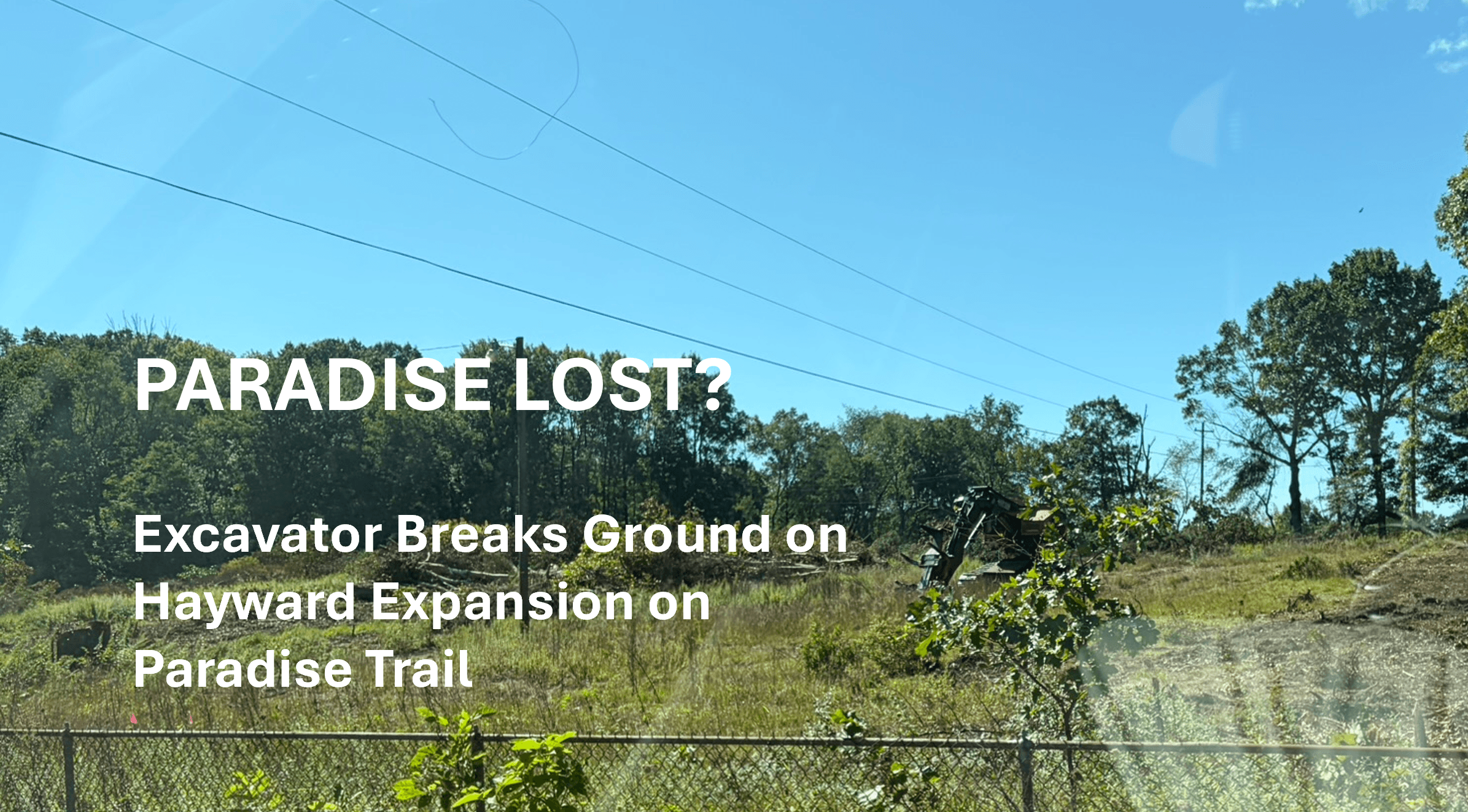 Lead photo: THE LEAD: PARADISE LOST?
